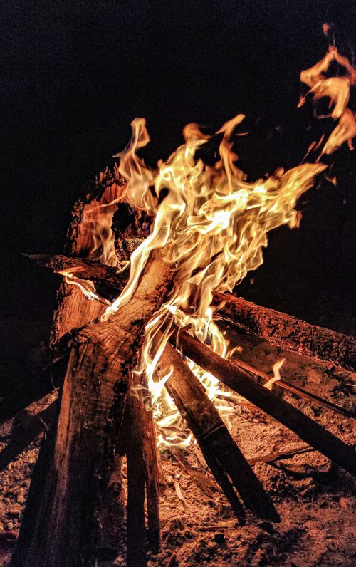 Free A captivating campfire with flames dancing against a dark night backdrop, creating a warm and inviting atmosphere. Stock Photo