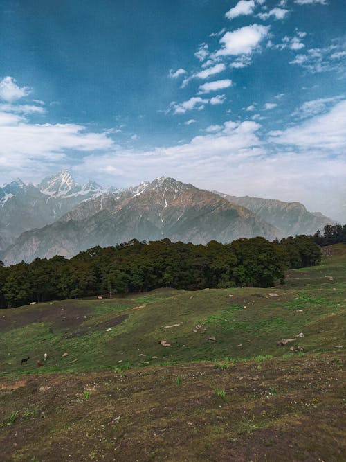 Aerial Shot of a Landscape