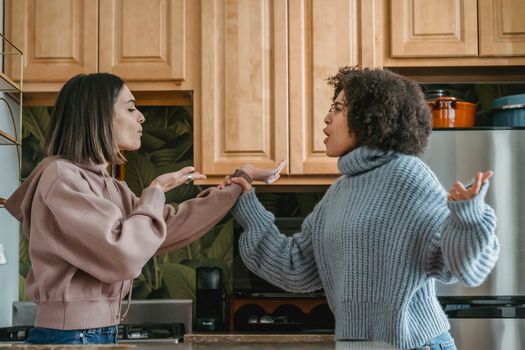 Diverse angry women quarreling in kitchen
