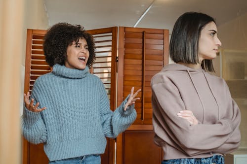 Free Furious African American female with black hair screaming while fighting with displeased female in light room with wooden folding screen Stock Photo