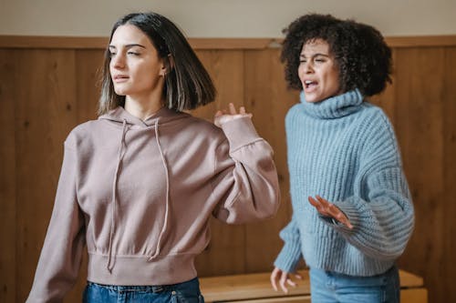 Mad African American female in warm sweater screaming at irritated female while having argument in light room with wooden walls