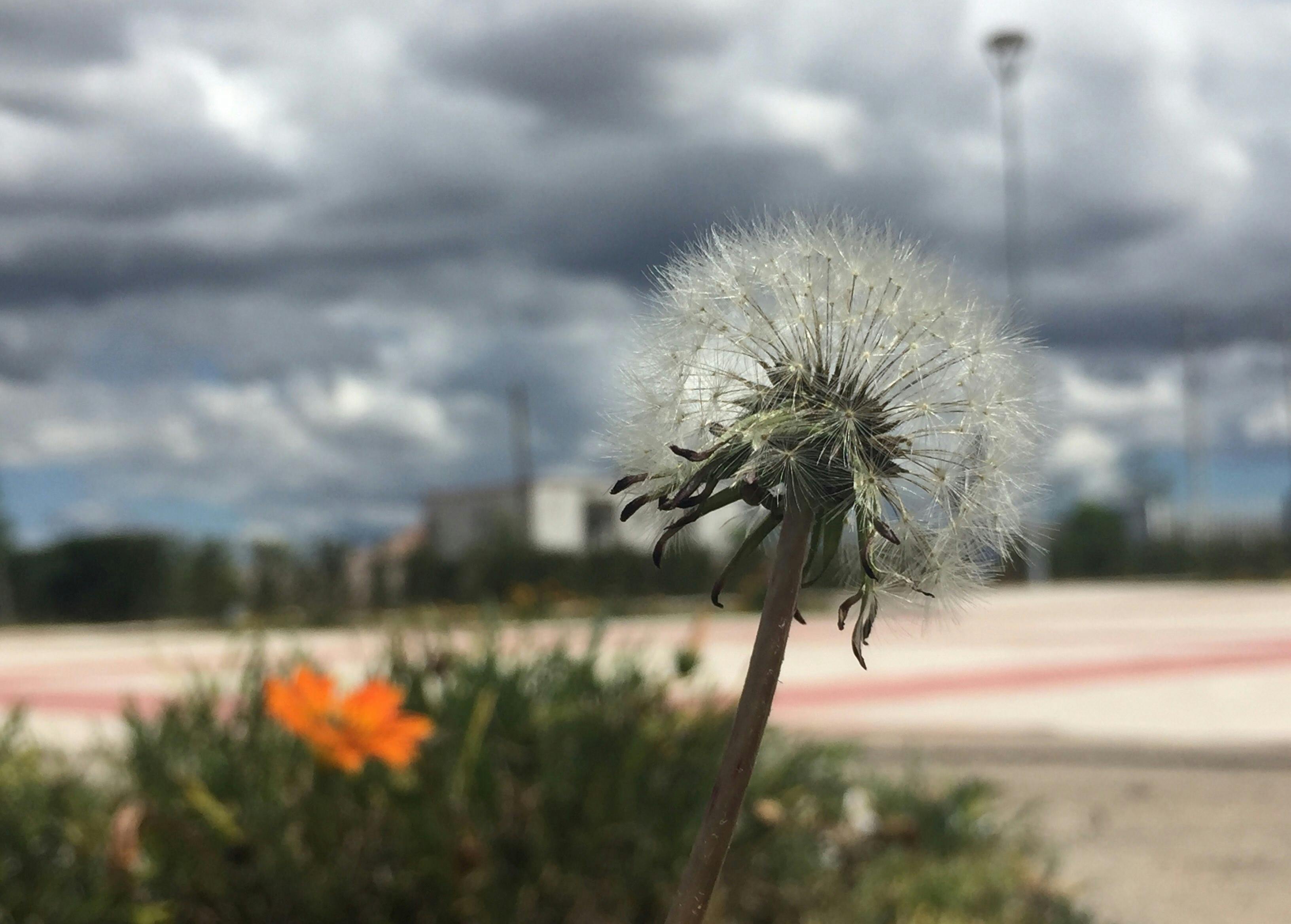 Person performing a dumbbell row