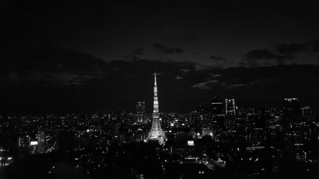 Grayscale Photo of City Buildings