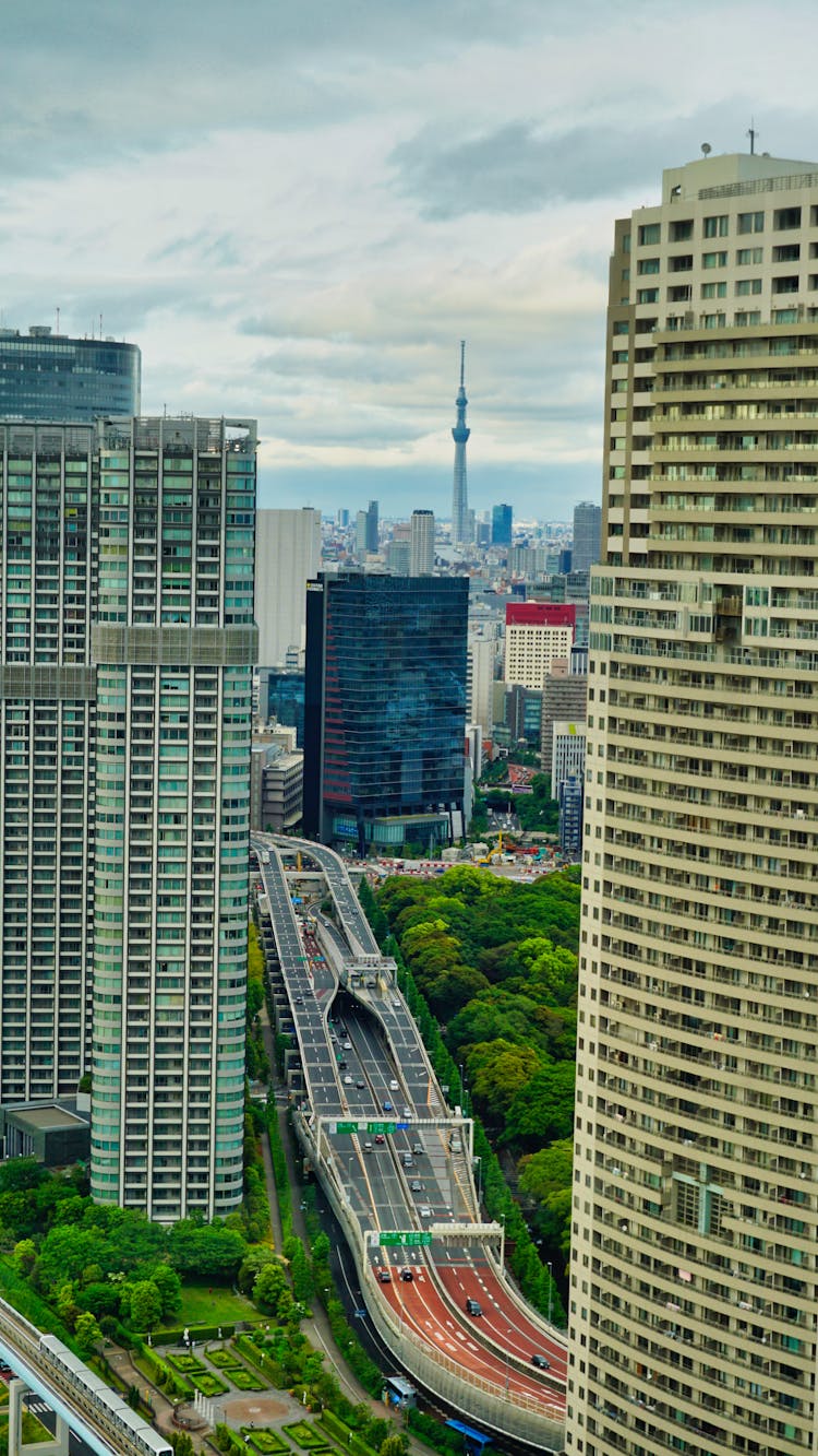 The Elevated Freeway In Tokyo, Tokyo Japan