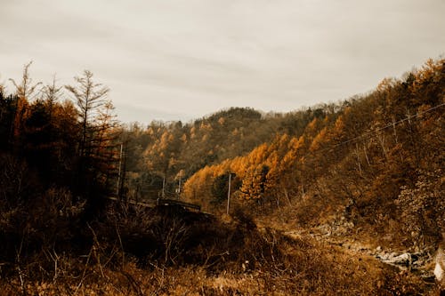 atmosfera de outono, ソウル, 山の無料の写真素材