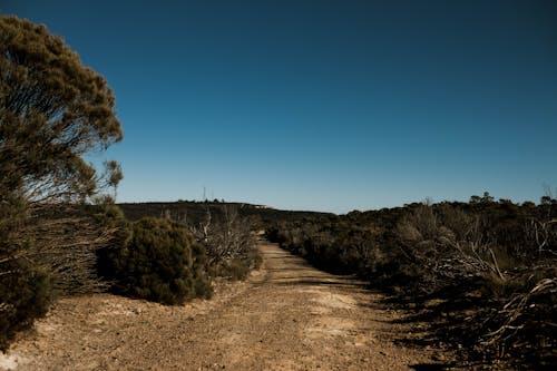 Gratis lagerfoto af Australien, blå himmel, grusvej