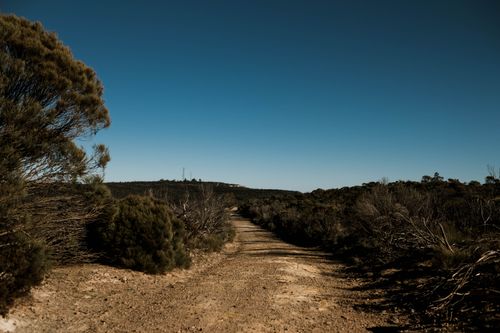 Free Captivating view of a dirt road amidst nature in Sydney, Australia, under a clear blue sky. Stock Photo