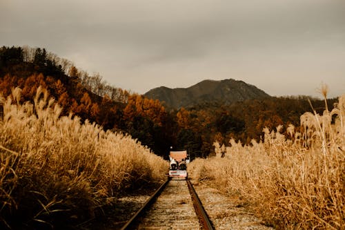 Gratis lagerfoto af atmosfera de outono, jernbane, Korea