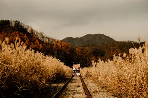 Train on the Railroad