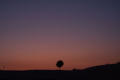 Gratis lagerfoto af Dubai, ørken, solnedgang