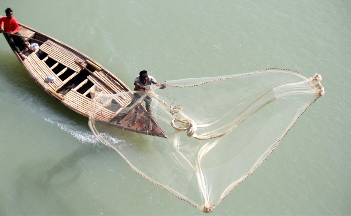 Foto profissional grátis de água, barco, jogando