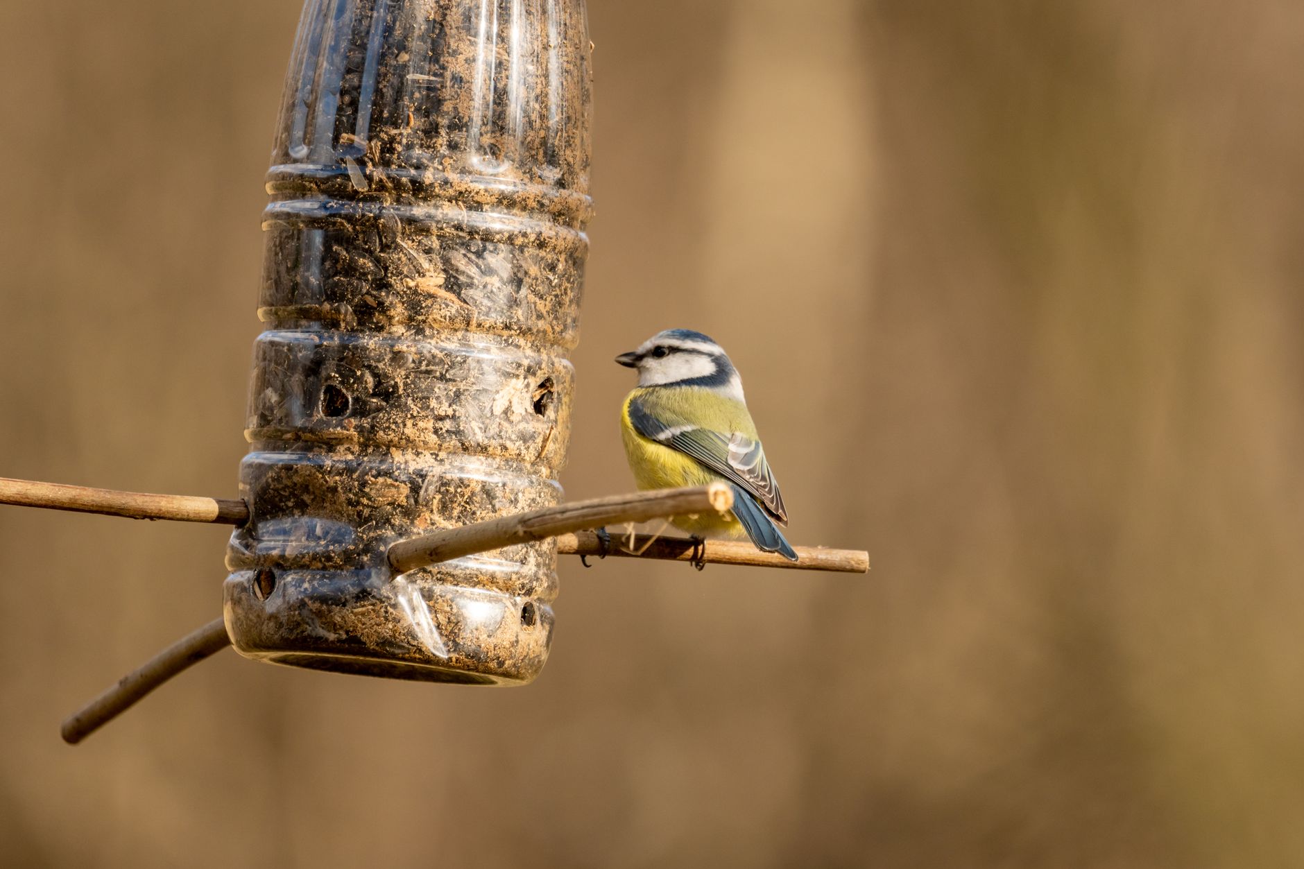 Simple homemade bird feeder hanging in a garden