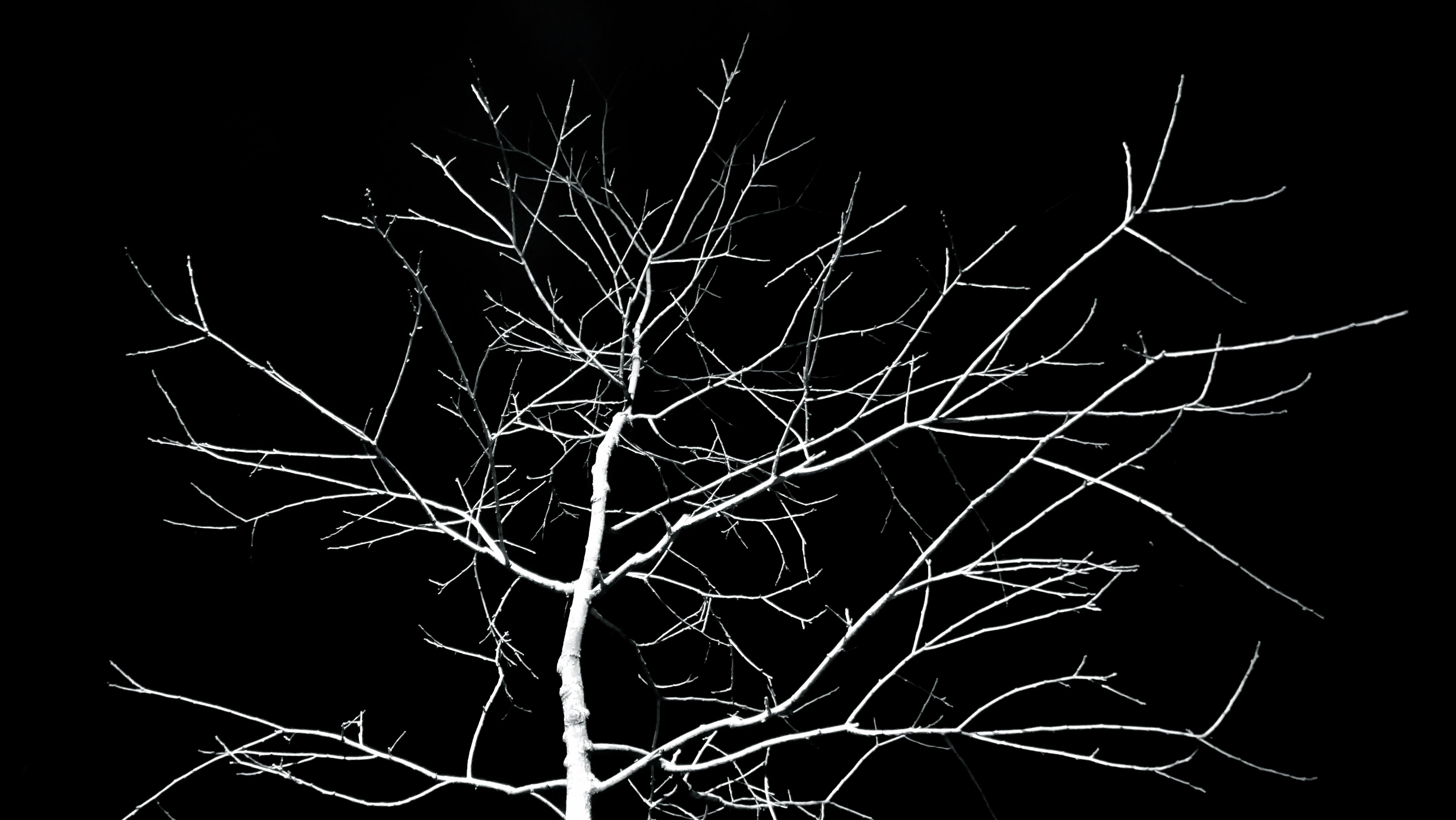 Iphoto