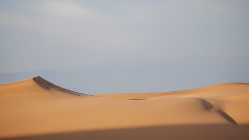 Безкоштовне стокове фото на тему «навколишнє середовище, надворі, піщані дюни» стокове фото