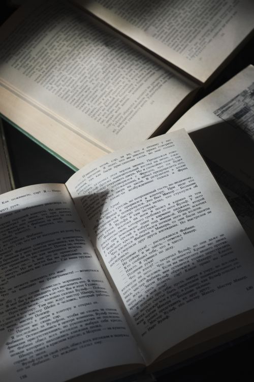 Free A serene scene of open books bathed in sunlight, creating a warm academic atmosphere. Stock Photo