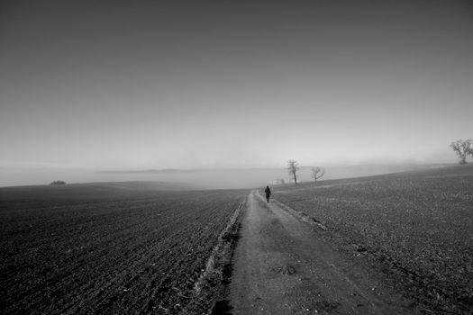 Black and white landscape with a lone person walking in misty fields in Schwertberg, Upper Austria.