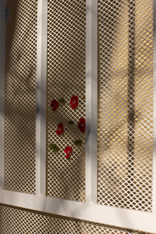 White metal grid fence decorated with red flowers buds and leaves in daylight