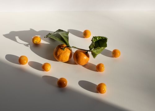 Free From above composition of fresh ripe tangerines with green leaves and shiny groundcherries scattered on white table in sunlight Stock Photo