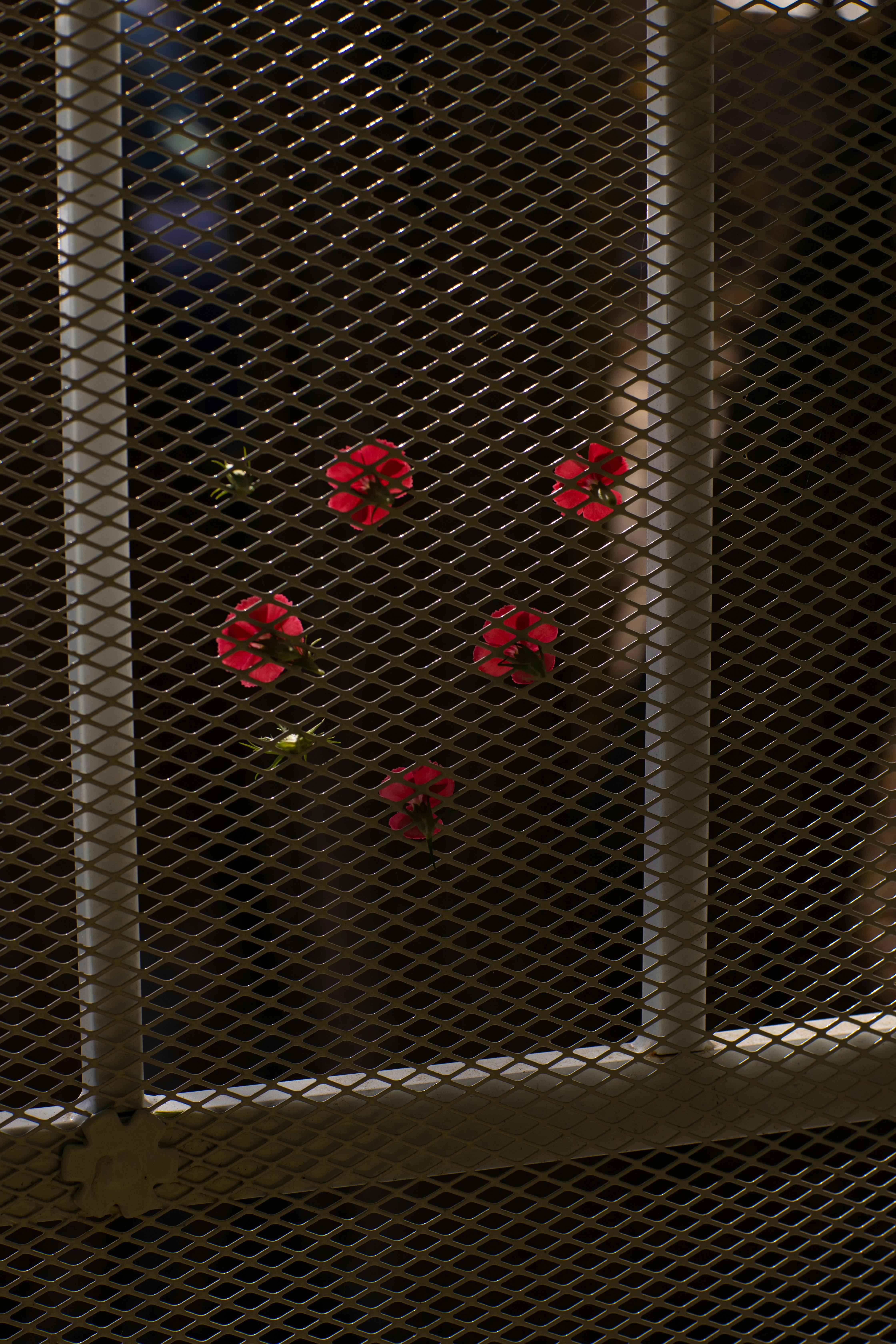 7 Steps for Installing a Gate on Your Wire Fence