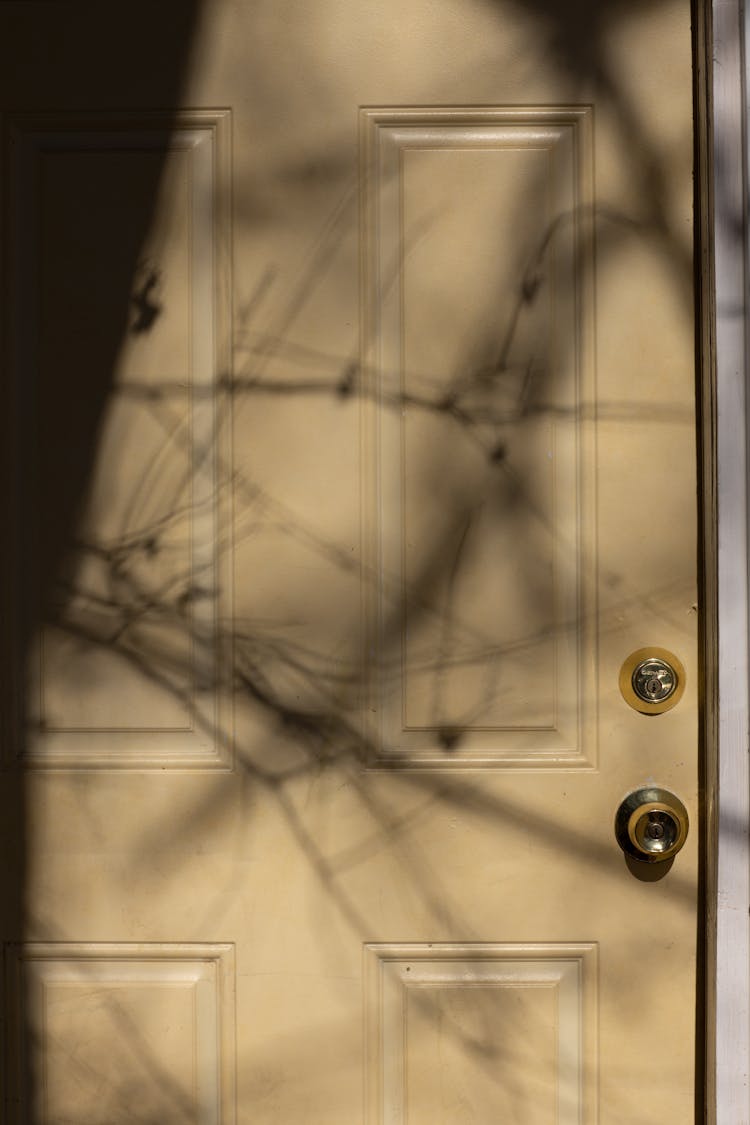 Aged Wooden Door On Sunny Day