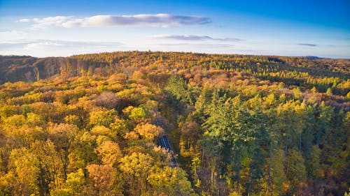 Aerial Photography of Zdanice Forest in Zarosice, Czechiz During Autumn