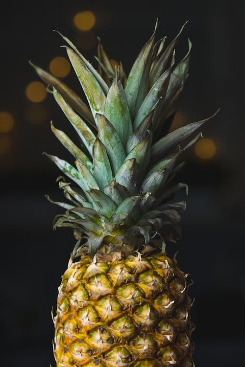 Ananas, dikey atış, kapatmak içeren Ücretsiz stok fotoğraf