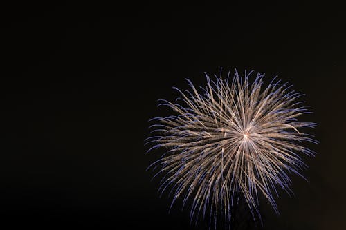 Fireworks in the Night Sky