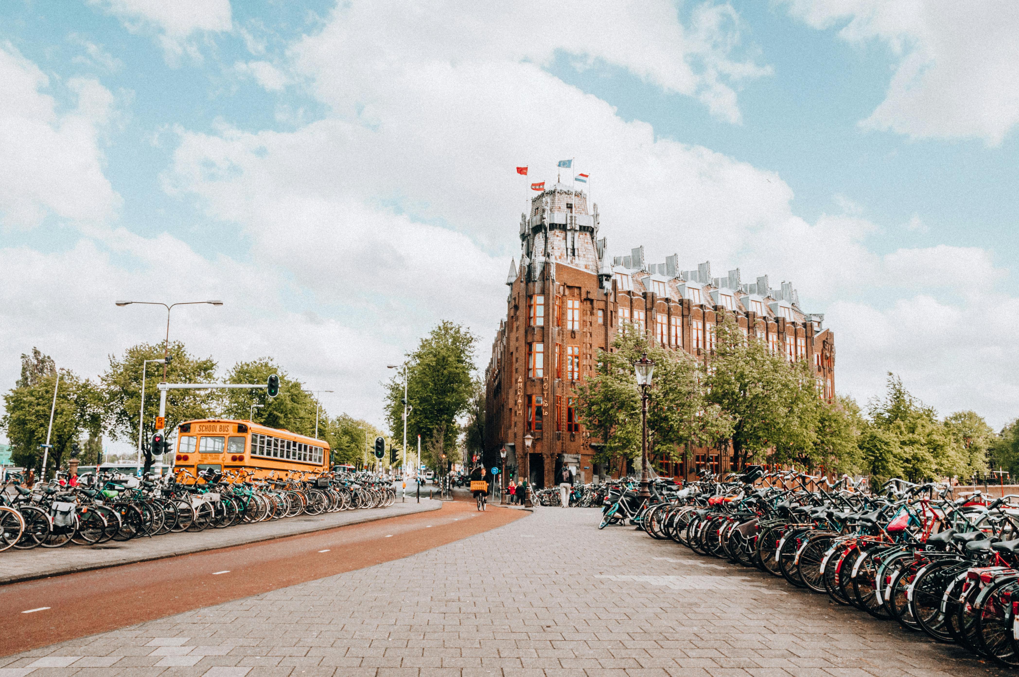 large number of bicycles parked along the street