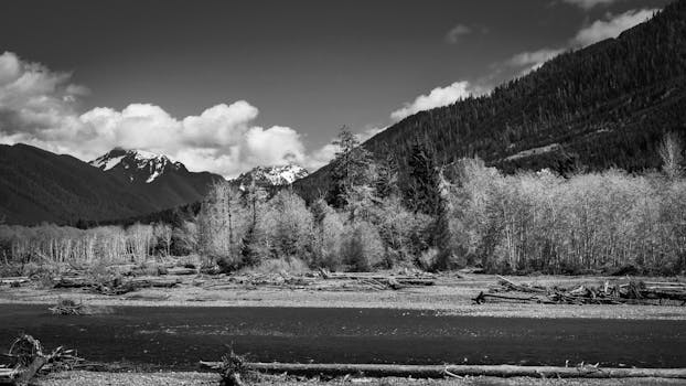Monochrome landscape photo of Olympic Mountains with forest and river in Forks, WA.