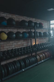 Neatly arranged gym equipment including dumbbells and medicine balls on a rack in a fitness center.