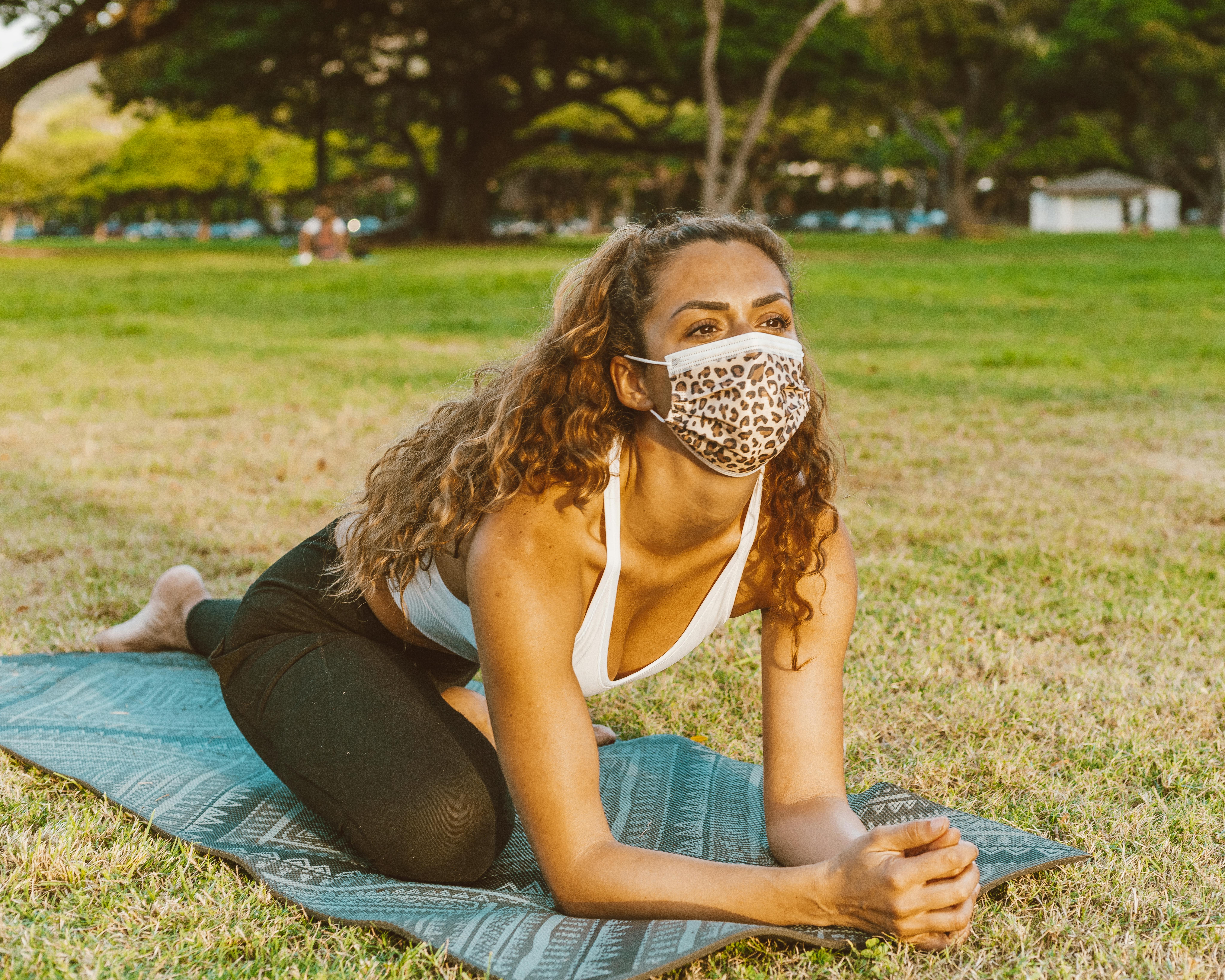 What exercise burns the most face fat?