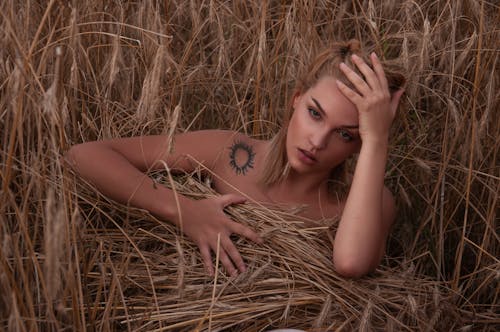 High angle of seductive female touching head while lying in field and covering breast with grass and looking at camera
