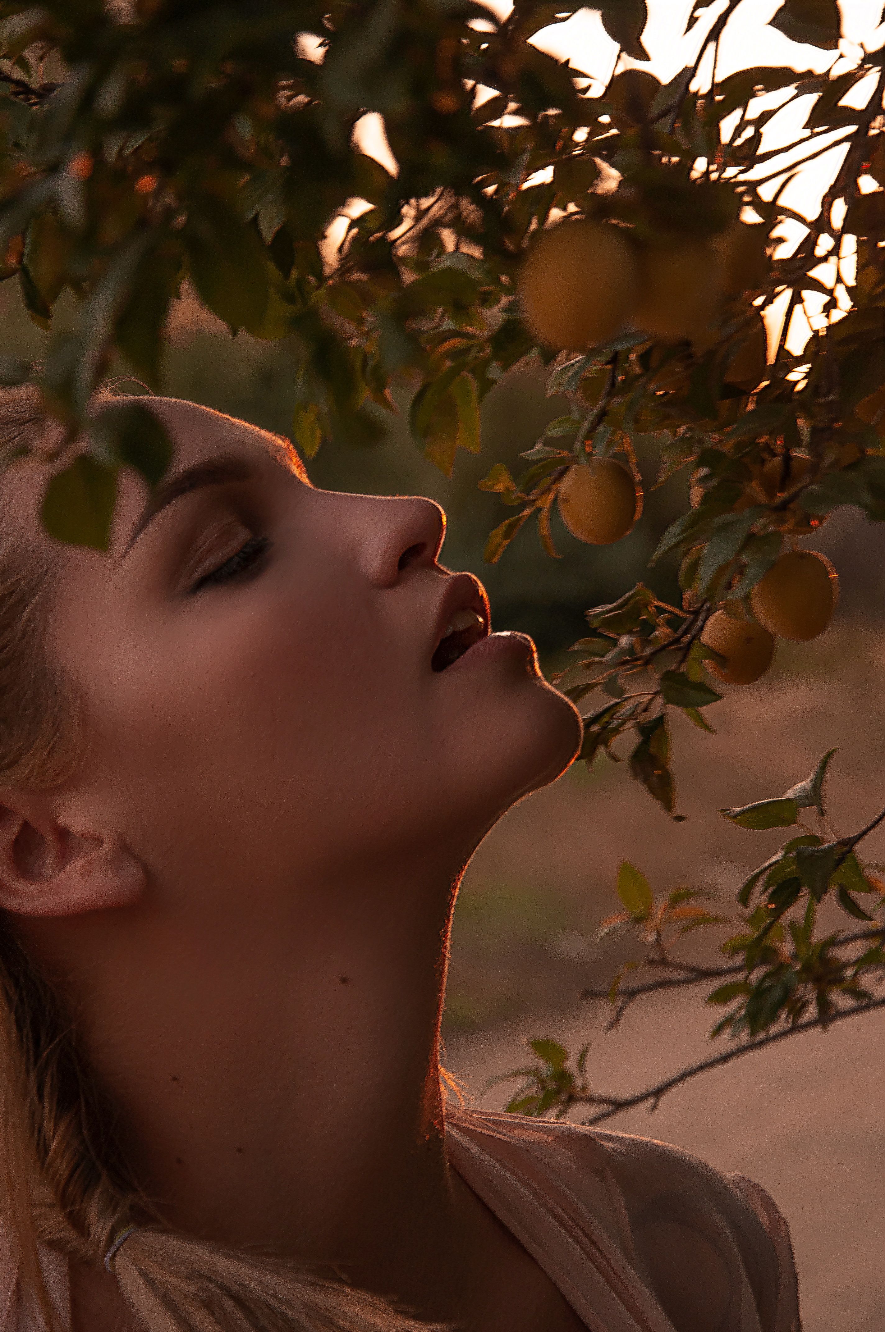 Side view of crop gorgeous young lady standing near apricot tree growing in garden at sunset