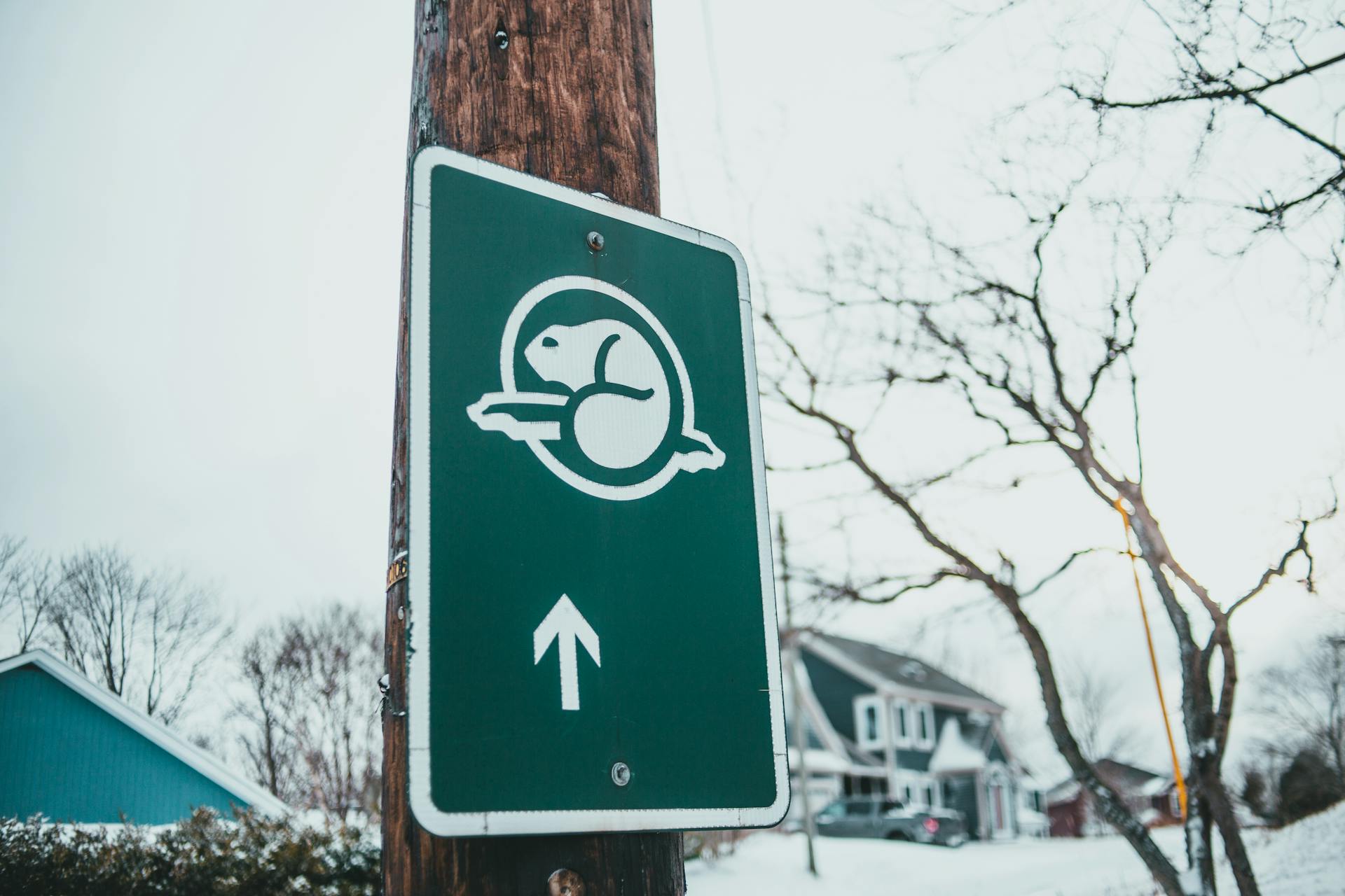 Green signboard with arrow and beaver illustration showing direction of national park in winter city of Canada