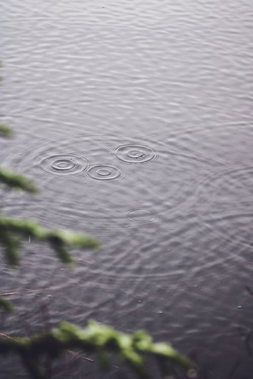 Бесплатное стоковое фото с вертикальный выстрел, вода, капли дождя