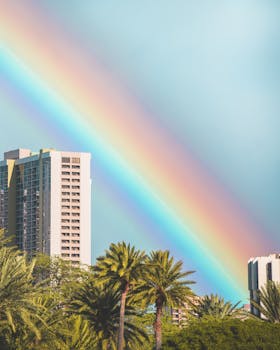 Colorful rainbow arching over a modern urban skyline with palm trees. Bright and uplifting scenery.