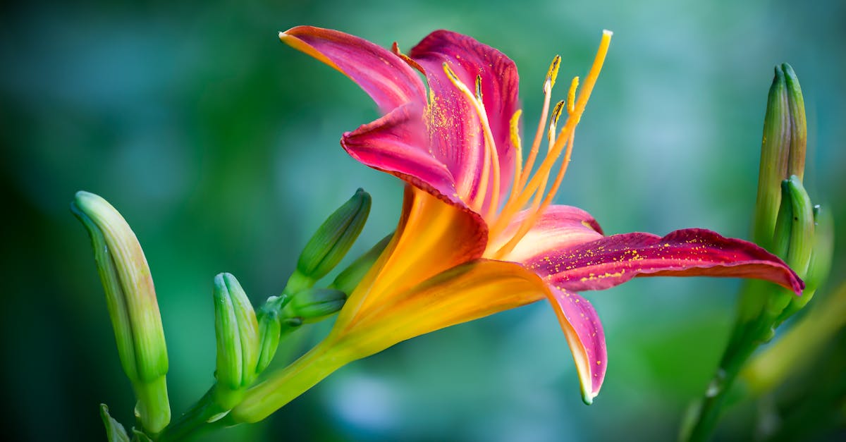 綠島 • 天堂島嶼之美再登國際!勇奪美國繆思創意獎雙料金獎