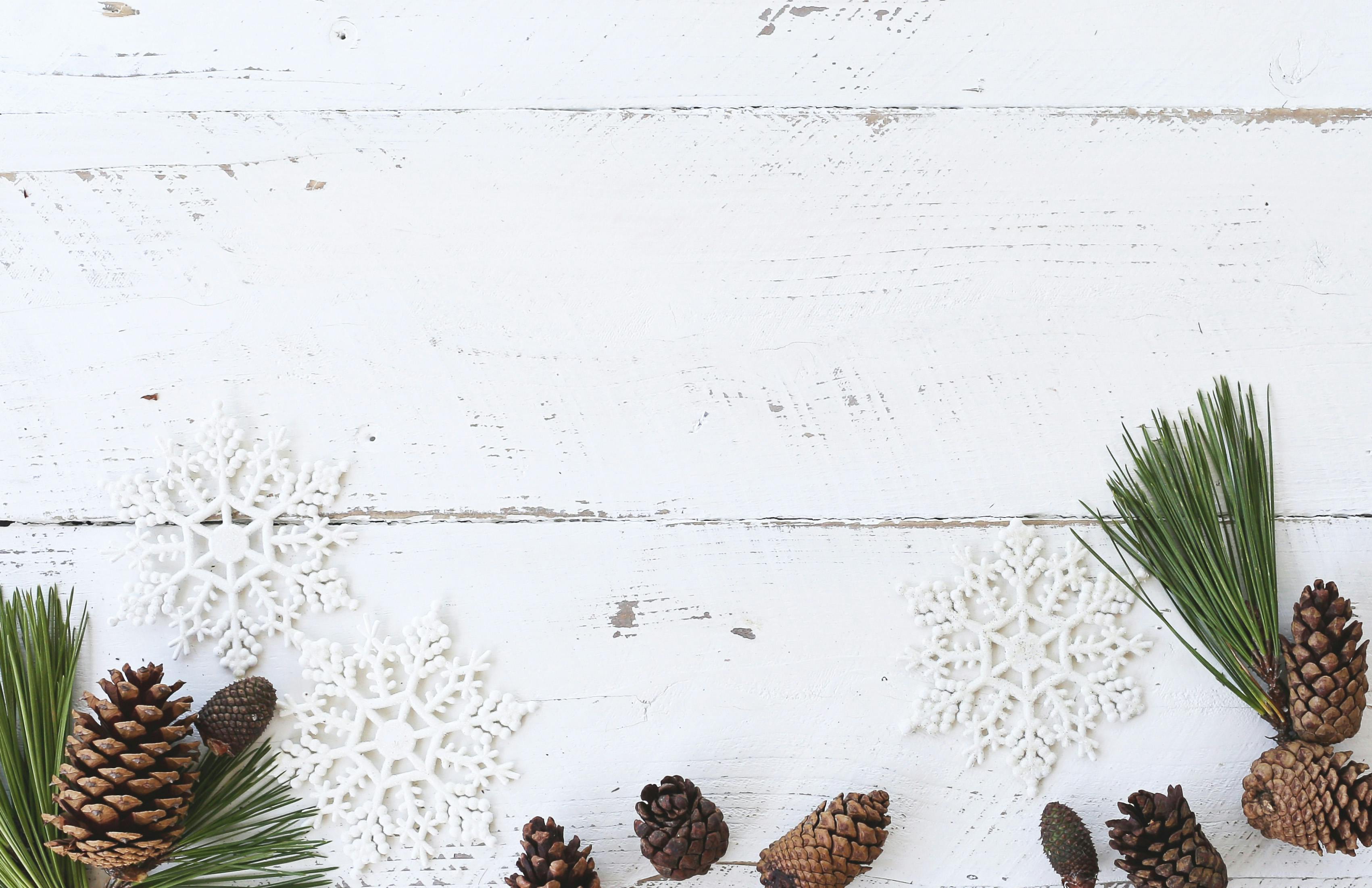 20+ Free Winter Background Photos