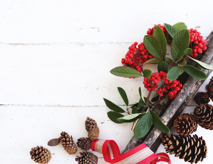 Brown Pine Cones