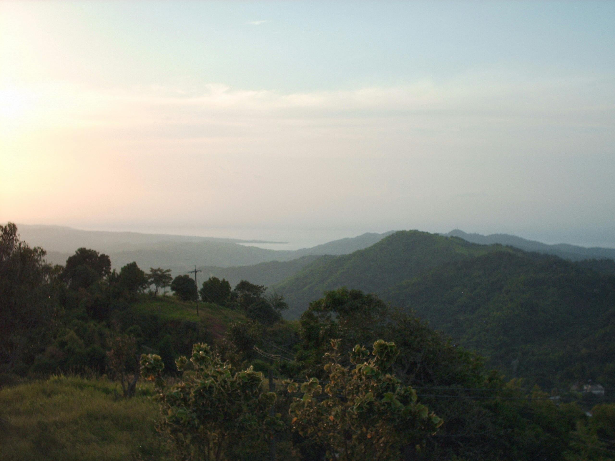 Woman wearing a face mask sitting with her dog on a couch