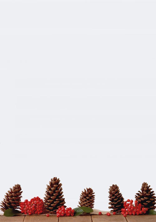бесплатная Декоры из коричневой сосновой шишки Стоковое фото