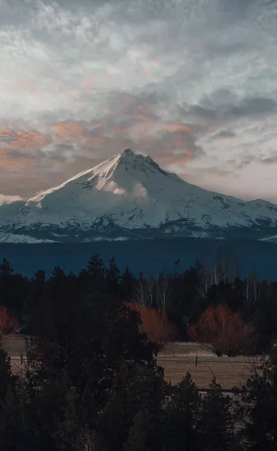 The Ultimate Guide to the Oregon Shakespeare Festival: Ashland's Theatrical Haven