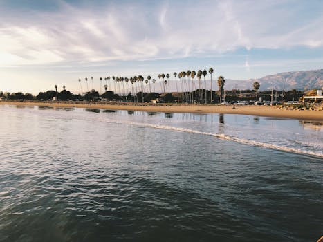 Stunning beach with palm trees and mountains at sunset. Perfect for nature lovers.