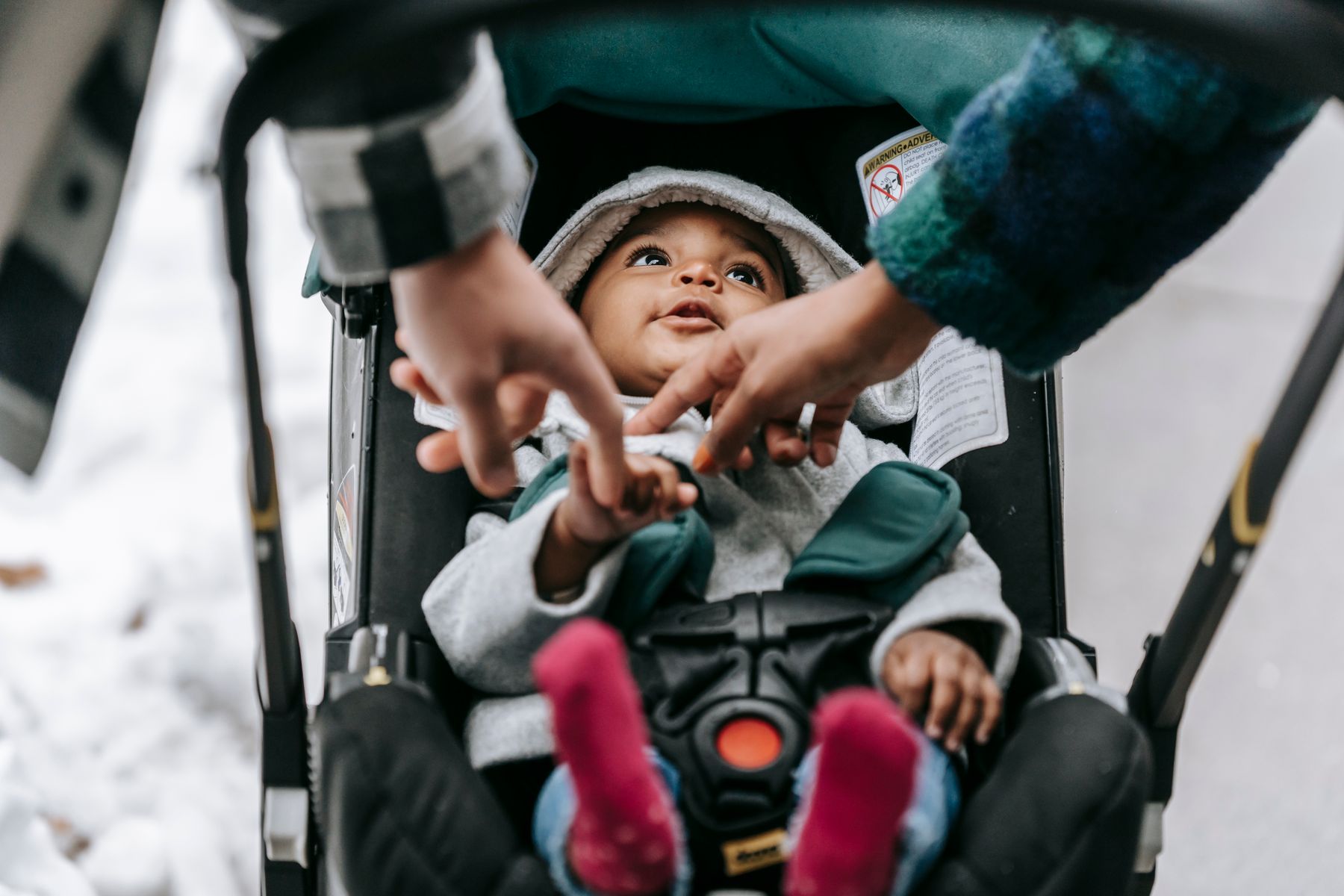 Albany with a Baby: Stroller-Friendly Walks and Gentle Days