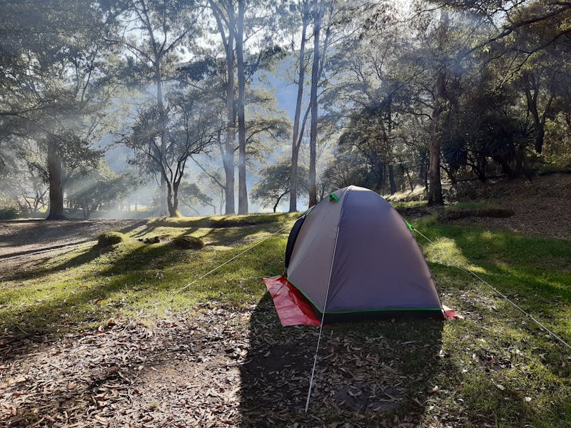 Home and clinic ICI settings compared