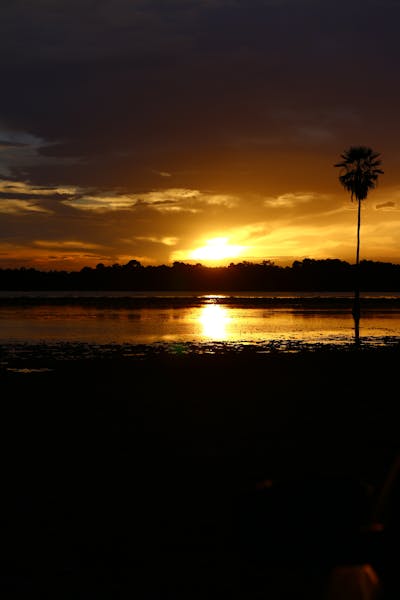 Vitamin E supplement with reproductive health info