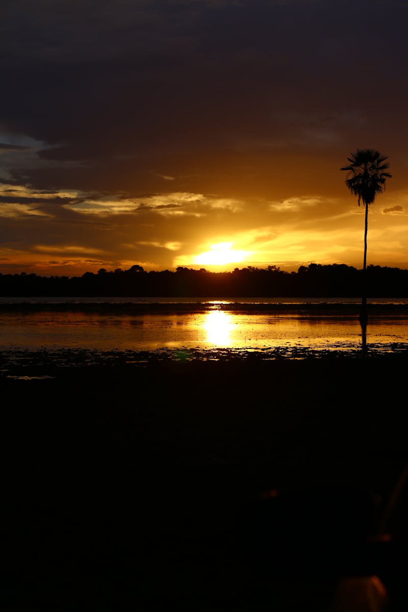 Vitamin E supplement with reproductive health info