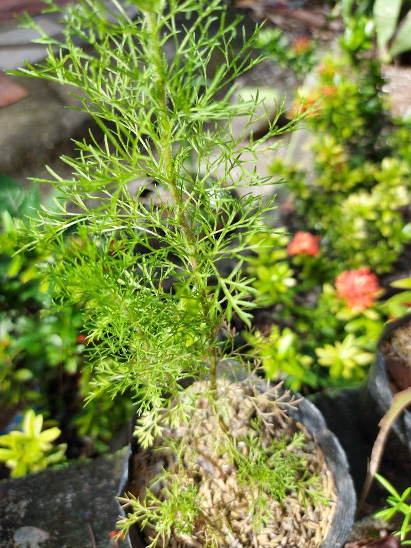 Cost per cycle comparison for all fertility methods