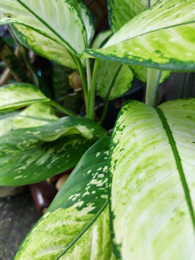 Affordable fertility treatment options overview