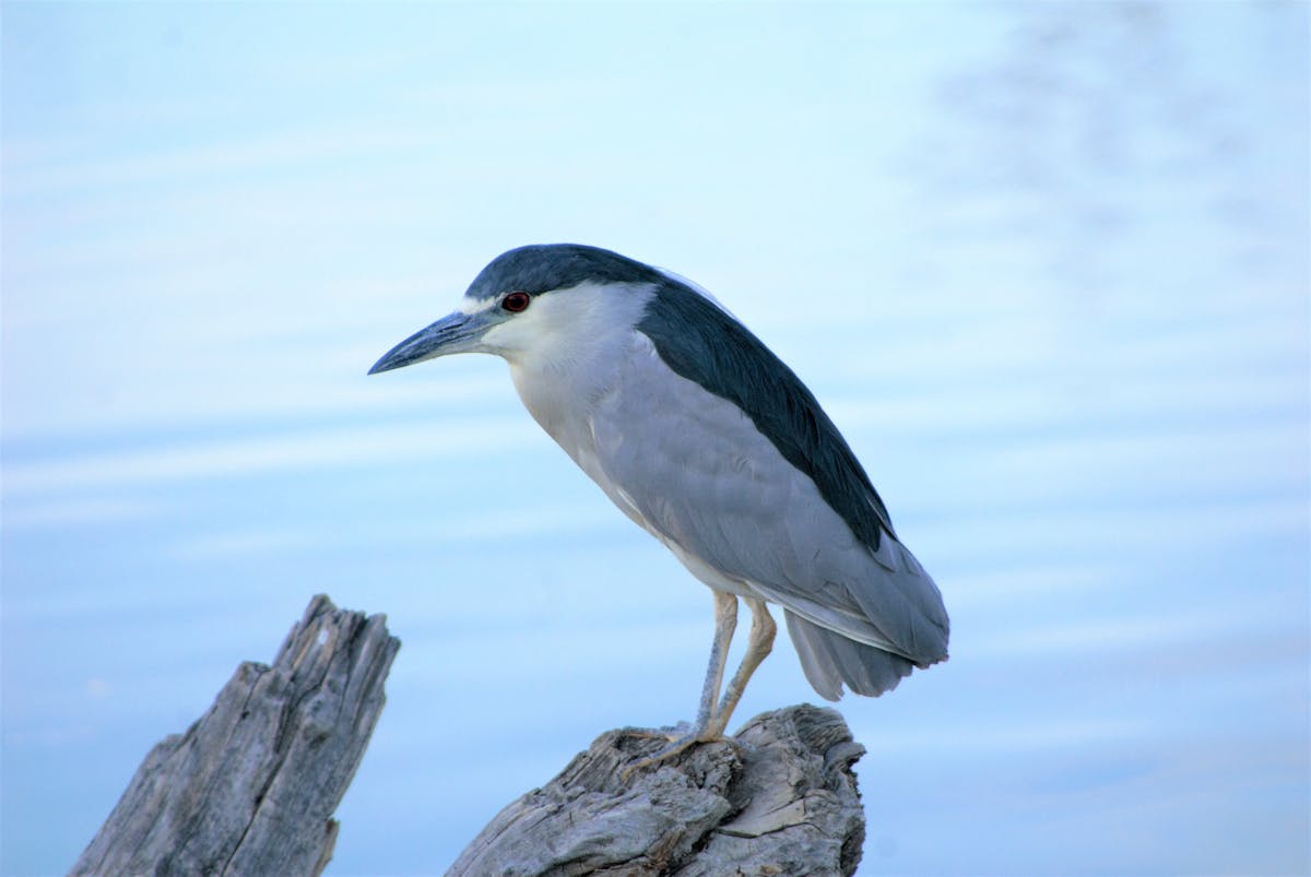 Smoothie served with toast and fresh fruit for breakfast